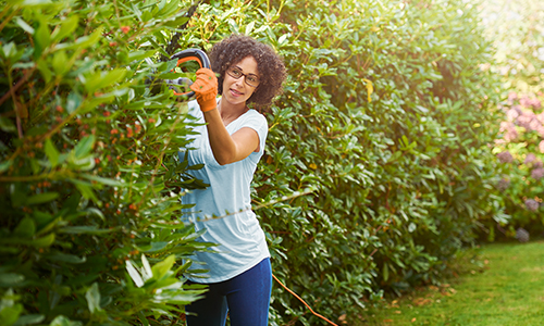 lady-trimming-privet-hedge