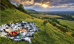 picnic-outdoors