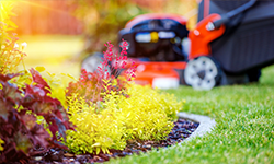 lawnmower-in-garden