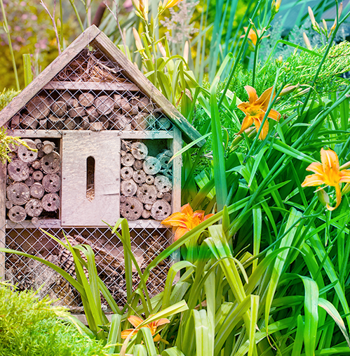 Bug hotel