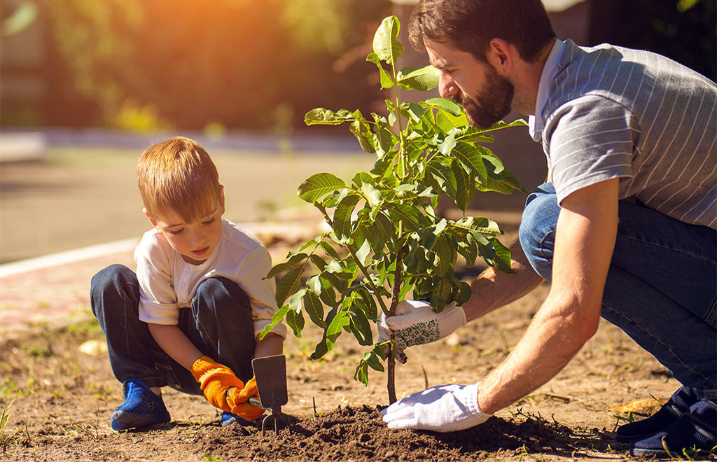 garden-article-thumbnail