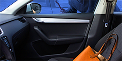 thief_car-handbag