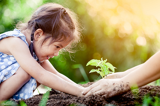 Girl planting tree